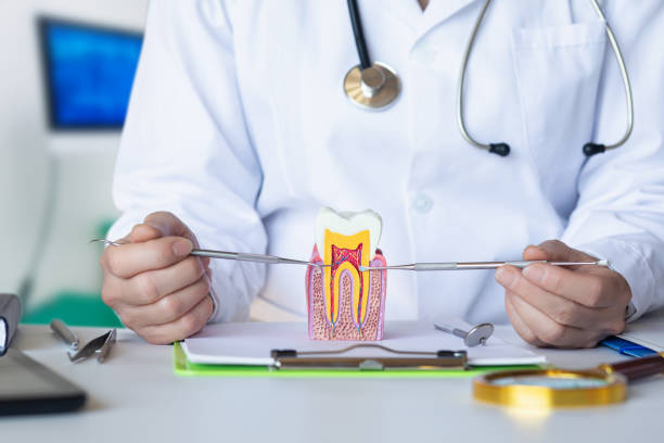 Best Broken or Cracked Tooth Emergency Dentist in Salunga, PA